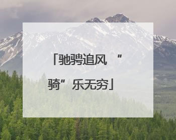 驰骋追风 “骑”乐无穷