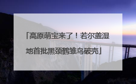 高原萌宝来了！若尔盖湿地首批黑颈鹤雏鸟破壳