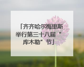 齐齐哈尔梅里斯举行第三十八届“库木勒”节