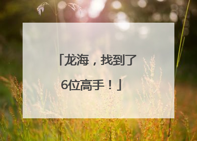 龙海，找到了6位高手！