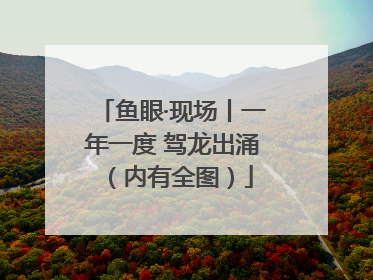 鱼眼·现场丨一年一度 驾龙出涌（内有全图）