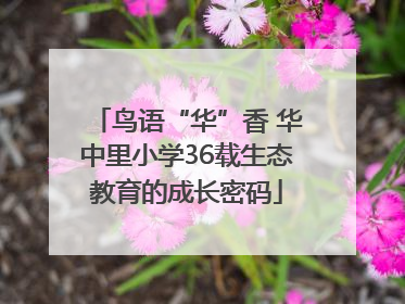 鸟语“华”香 华中里小学36载生态教育的成长密码