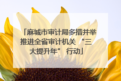 麻城市审计局多措并举推进全省审计机关 “三大提升年” 行动