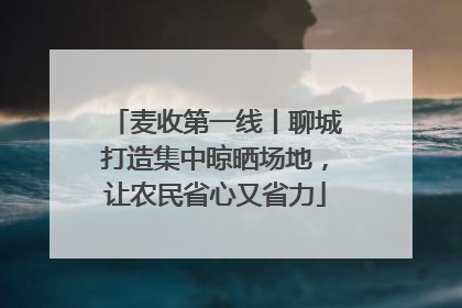 麦收第一线丨聊城打造集中晾晒场地，让农民省心又省力