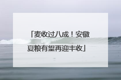 麦收过八成！安徽夏粮有望再迎丰收