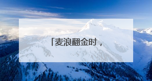 麦浪翻金时，送法进乡间