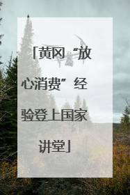黄冈“放心消费”经验登上国家讲堂