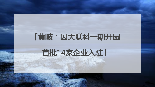 黄陂：因大联科一期开园 首批14家企业入驻