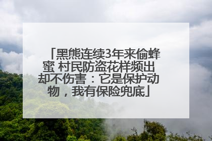 黑熊连续3年来偷蜂蜜 村民防盗花样频出却不伤害：它是保护动物，我有保险兜底