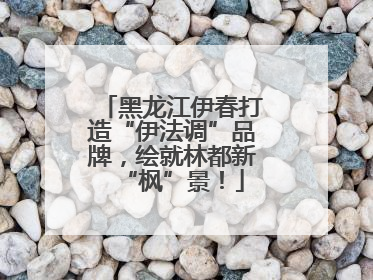 黑龙江伊春打造“伊法调”品牌，绘就林都新“枫”景！