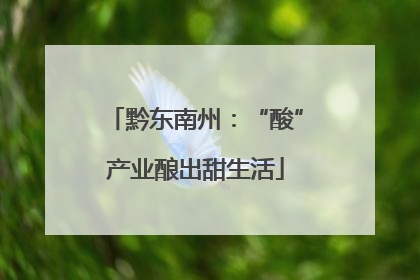 黔东南州：“酸”产业酿出甜生活