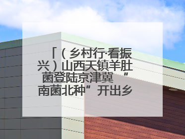 （乡村行·看振兴）山西天镇羊肚菌登陆京津冀 “南菌北种”开出乡村“致富花”
