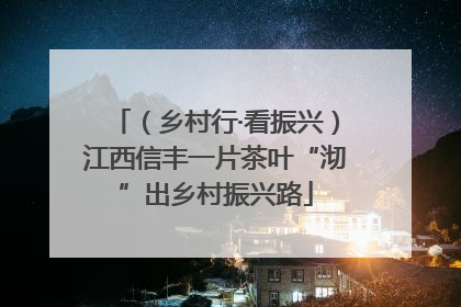 （乡村行·看振兴）江西信丰一片茶叶“沏”出乡村振兴路