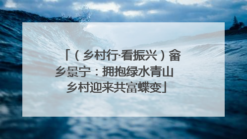 （乡村行·看振兴）畲乡景宁：拥抱绿水青山 乡村迎来共富蝶变