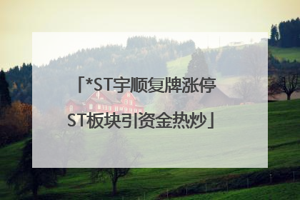 *ST宇顺复牌涨停 ST板块引资金热炒