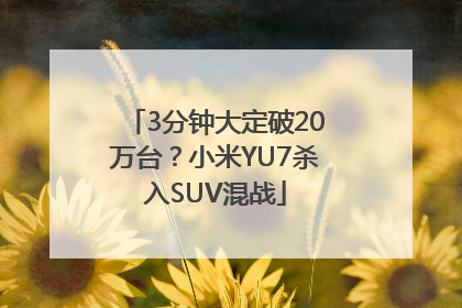 3分钟大定破20万台？小米YU7杀入SUV混战