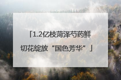 1.2亿枝菏泽芍药鲜切花绽放“国色芳华”
