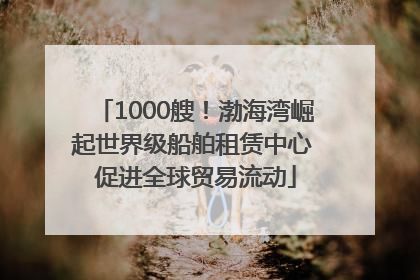 1000艘！渤海湾崛起世界级船舶租赁中心 促进全球贸易流动