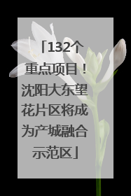 132个重点项目！沈阳大东望花片区将成为产城融合示范区