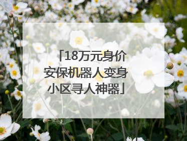 18万元身价安保机器人变身小区寻人神器