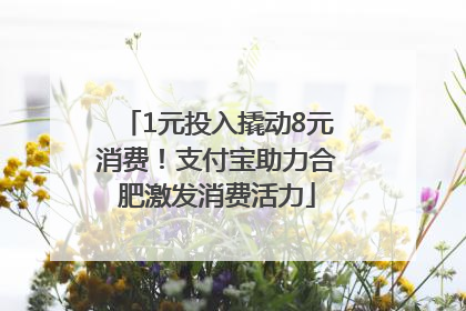 1元投入撬动8元消费！支付宝助力合肥激发消费活力