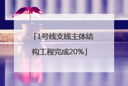 1号线支线主体结构工程完成20%