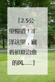 2.5公里慢道！丰泽这里，藏着初夏治愈的风……