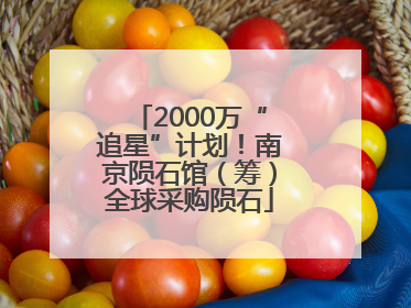 2000万“追星”计划！南京陨石馆（筹）全球采购陨石