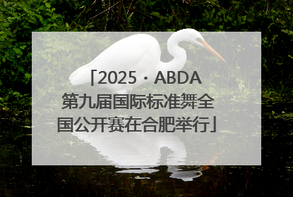 2025・ABDA 第九届国际标准舞全国公开赛在合肥举行