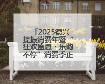 2025德兴提振消费年暨“狂欢盛夏・乐购不停”消费季正式启动（图）