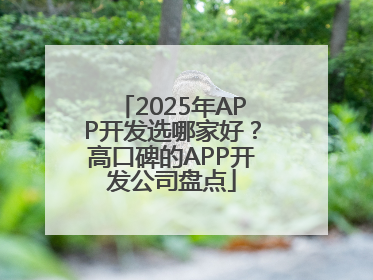 2025年APP开发选哪家好？高口碑的APP开发公司盘点