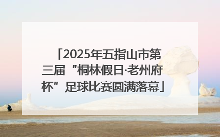 2025年五指山市第三届“桐林假日·老州府杯”足球比赛圆满落幕