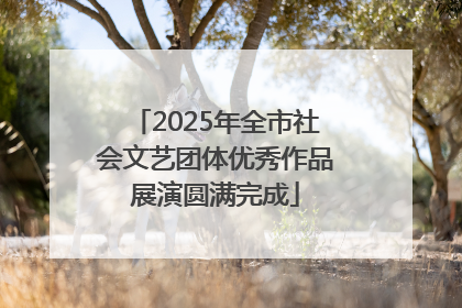 2025年全市社会文艺团体优秀作品展演圆满完成