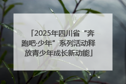 2025年四川省“奔跑吧·少年”系列活动释放青少年成长新动能