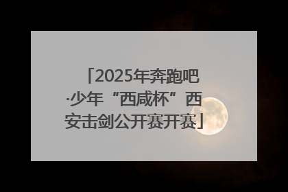 2025年奔跑吧·少年“西咸杯”西安击剑公开赛开赛