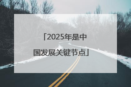 2025年是中国发展关键节点