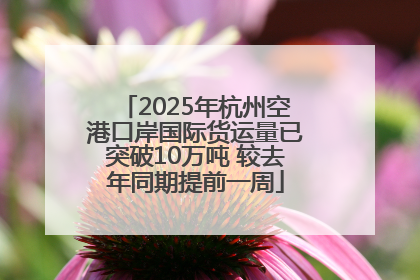 2025年杭州空港口岸国际货运量已突破10万吨 较去年同期提前一周