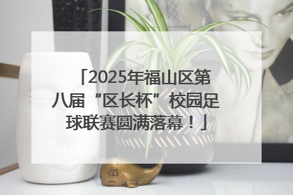 2025年福山区第八届“区长杯”校园足球联赛圆满落幕！