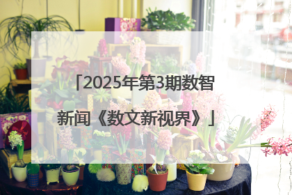 2025年第3期数智新闻《数文新视界》