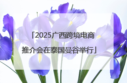2025广西跨境电商推介会在泰国曼谷举行