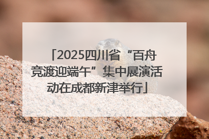 2025四川省“百舟竞渡迎端午”集中展演活动在成都新津举行