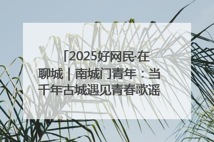 2025好网民·在聊城｜南城门青年：当千年古城遇见青春歌谣 一湖碧水见证的“聊城式浪漫”