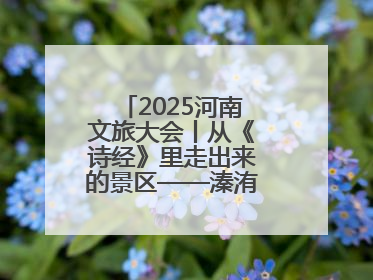 2025河南文旅大会丨从《诗经》里走出来的景区——溱洧水城开街迎宾