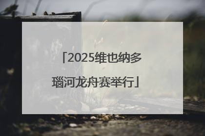 2025维也纳多瑙河龙舟赛举行