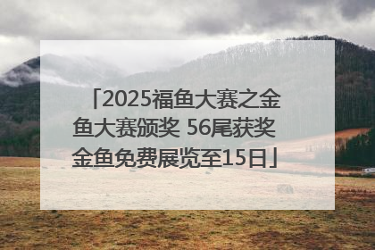 2025福鱼大赛之金鱼大赛颁奖 56尾获奖金鱼免费展览至15日