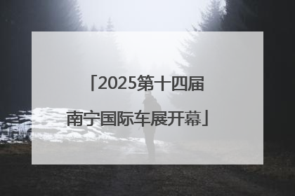 2025第十四届南宁国际车展开幕