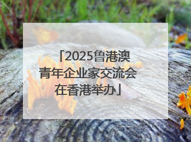 2025鲁港澳青年企业家交流会在香港举办