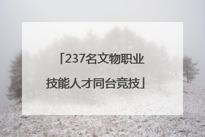 237名文物职业技能人才同台竞技