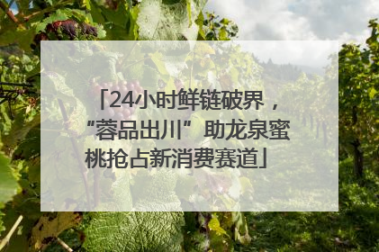 24小时鲜链破界，“蓉品出川”助龙泉蜜桃抢占新消费赛道