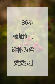 36岁杨旭恒，递补为省委委员